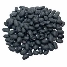 Poroto Negro